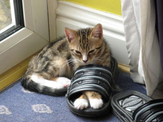 【击球策略】为什么某些击球手在逆境中依旧精准果断,击球手的精准永远不变