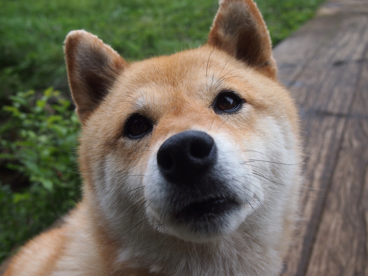 《英雄联盟线上线下联动,全球总决赛盛大开启》,lol线上线下是什么意思