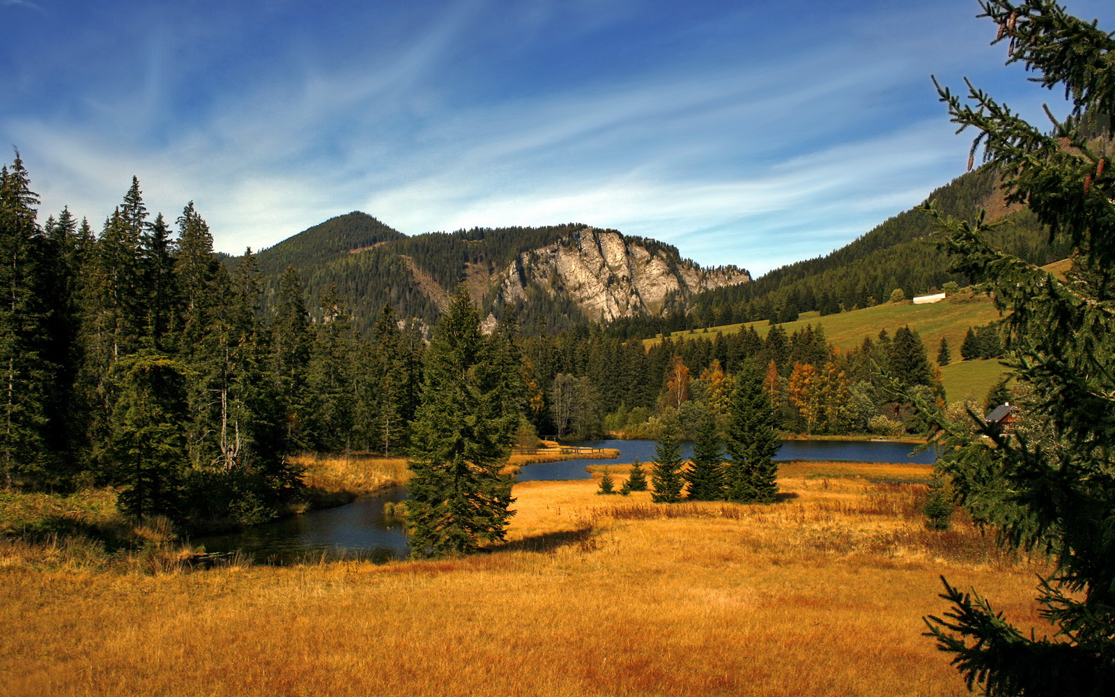 爱游戏娱乐平台-曼联开启新战术体系，期待赛季大突破，曼联新赛季主力阵容