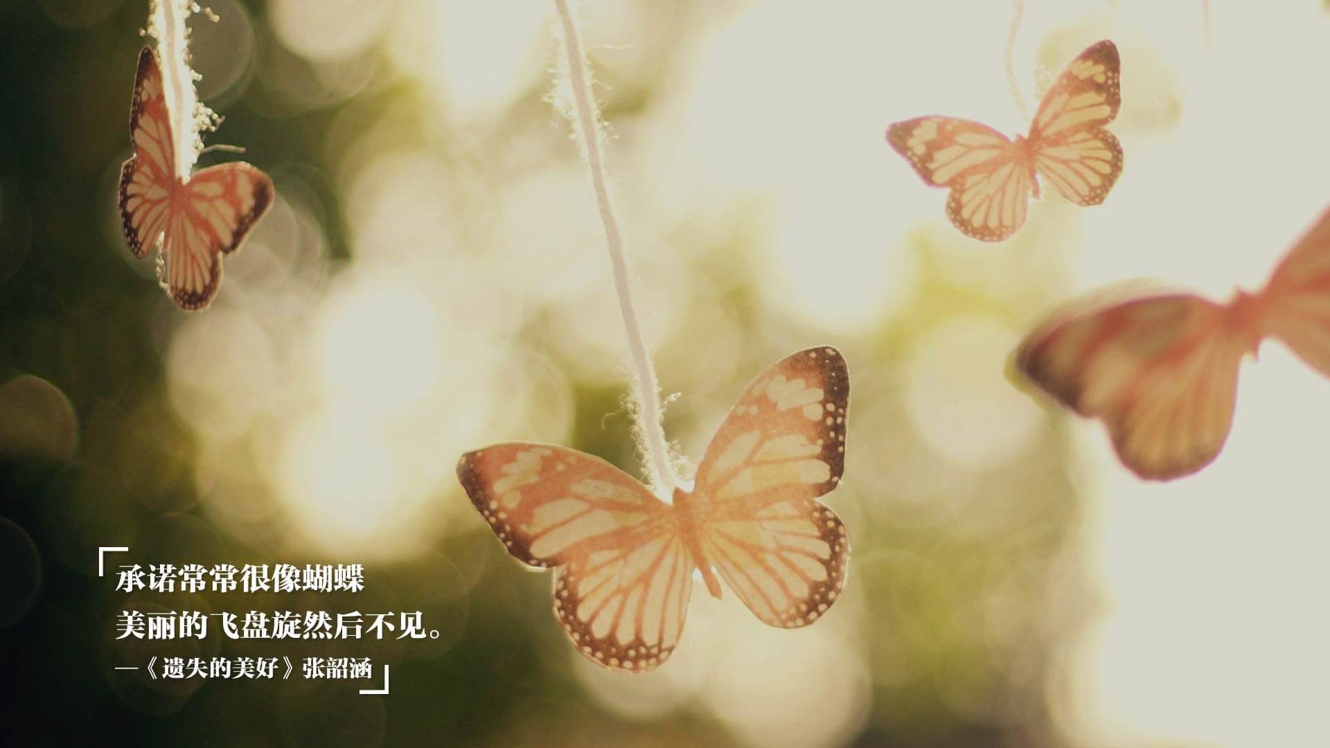 最伟大球员:统计、荣耀与硬核纪录盘点,荣耀冠军球员实力和潜力