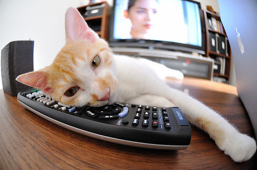 爱游戏综合娱乐-皇室战争“王者之路”全球总决赛倒计时，皇室战争总决赛冠军