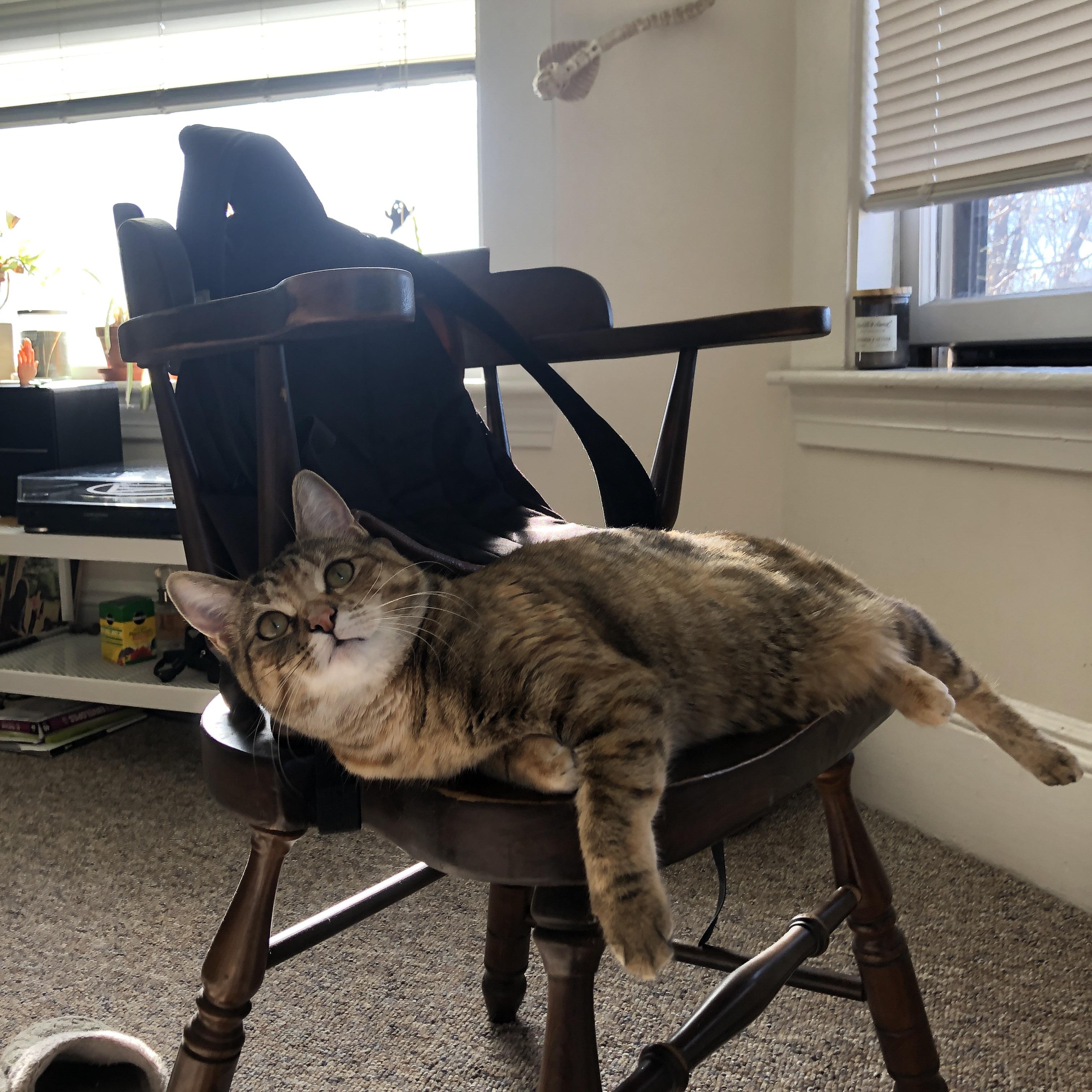 爱游戏app下载-篮球赛事直播平台互动功能持续丰富，篮球比赛直播软件