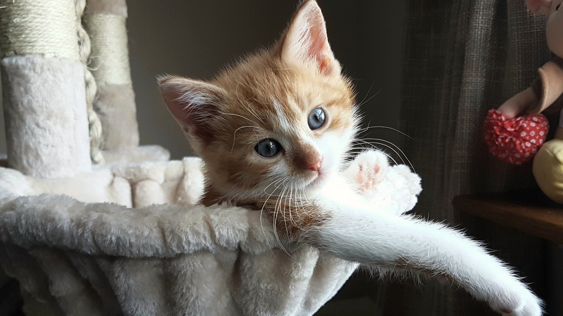 裁判新规层层升级:促进公平竞争的又一大步,裁判要公平公正致辞