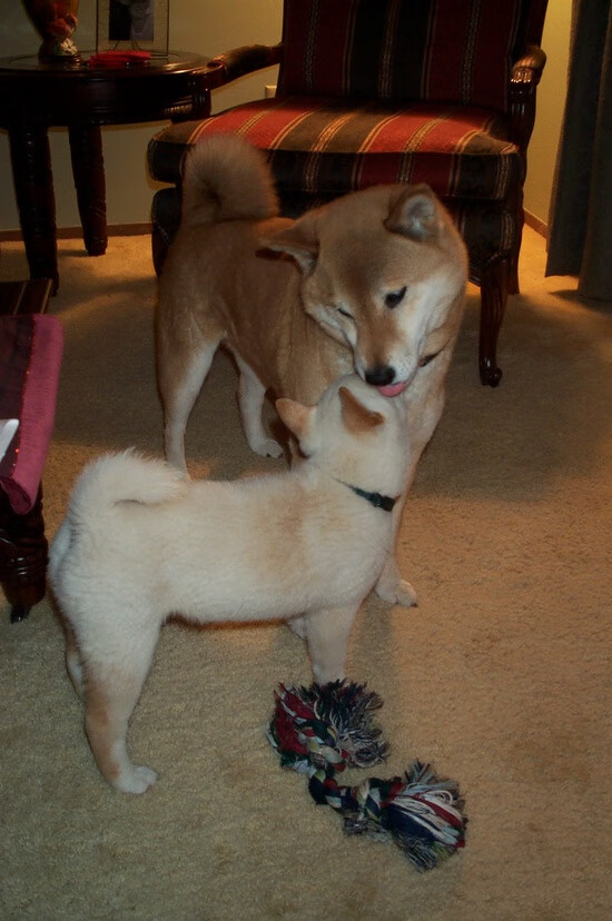 青少年“科技篮球”创新创业项目在南京成功落地,助推行业发展