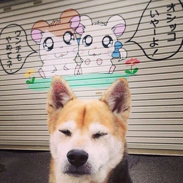 AYX官网-卡迪夫城豪取三分，求生欲望强烈！，卡迪夫crown place