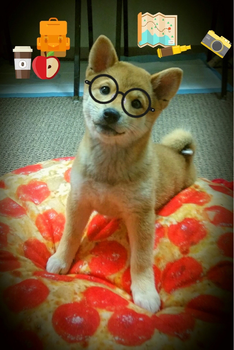 意大利主场一箭射穿德国队铁桶防线,意大利德国比赛