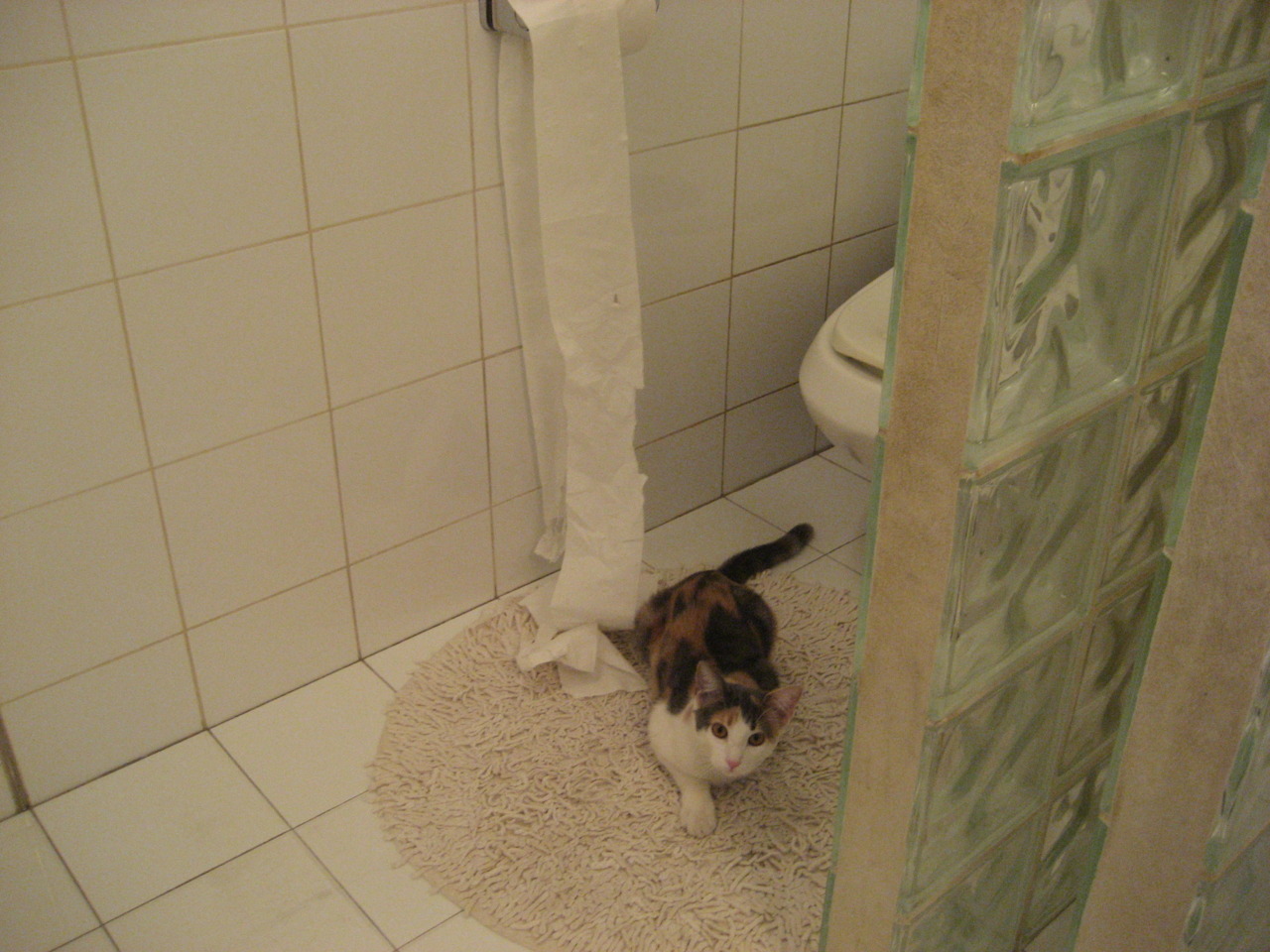 爱游戏体育平台-摩洛哥男足在巴黎奥运会上击败多支强队，摩洛哥国家男子足球队