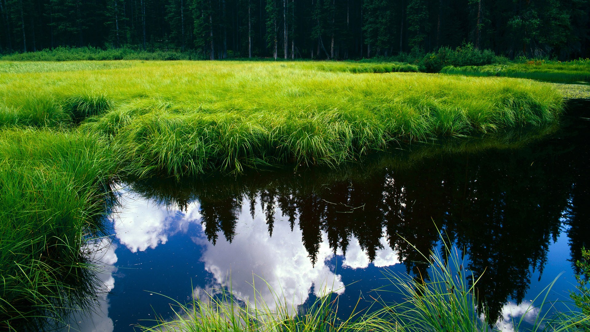 紧张战况!欧国联比赛席卷球迷热情,欧国联最新赛果