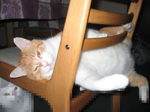 体育教学个性化评价体系设计,动手设计一个体育教学评价的方案