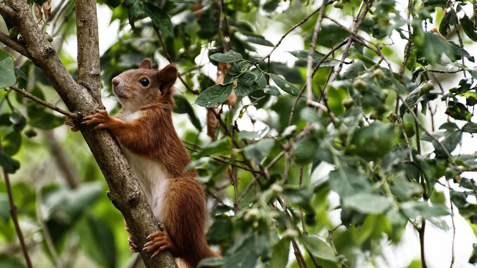 国足比赛球员表现排名,国足队员排名