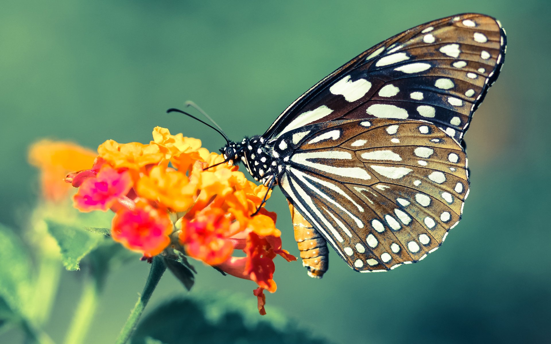 国足比赛球员表现排名,国足队员排名