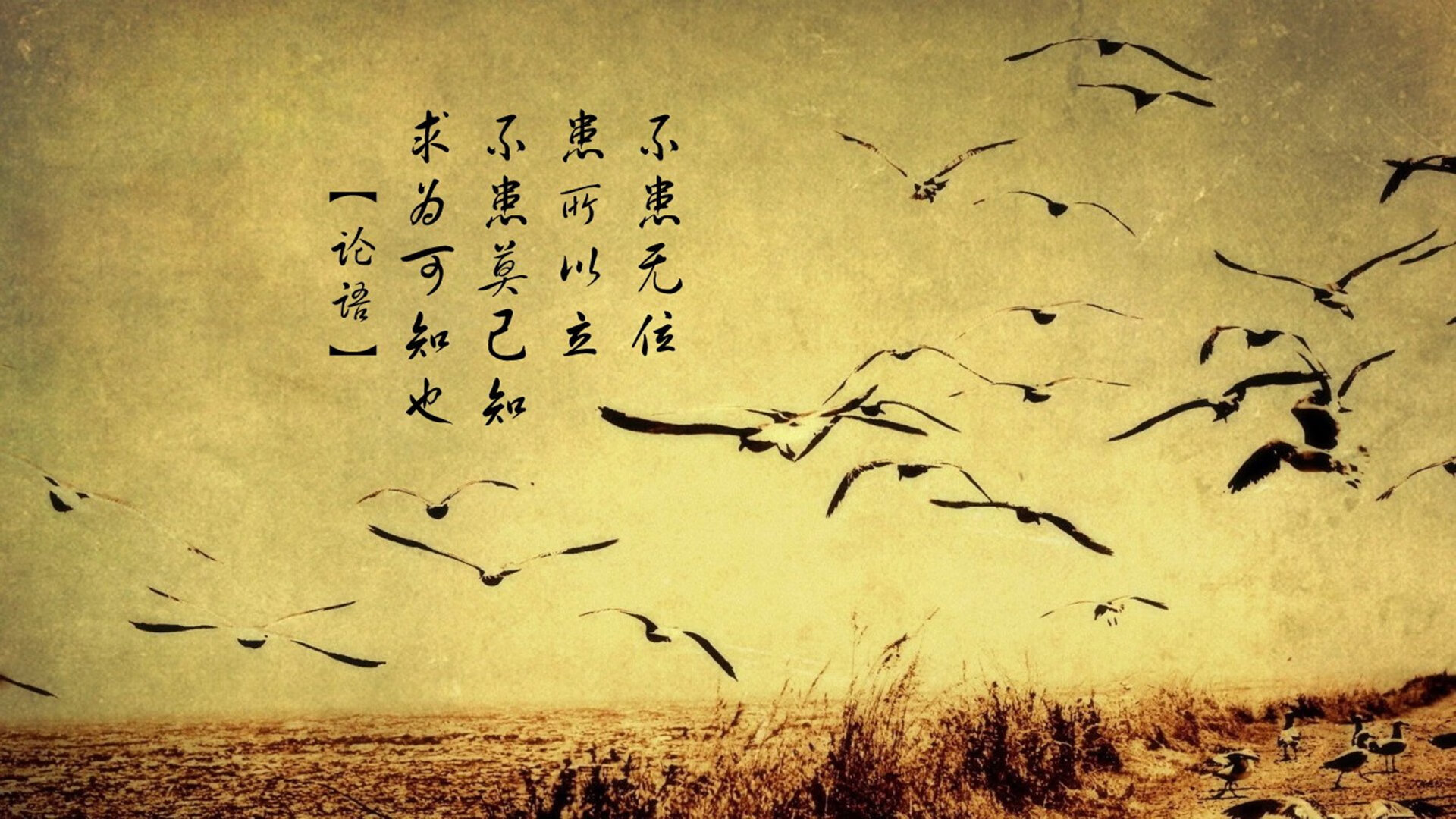 法甲球队利用视频分析优化防守站位与协防效率,法甲对标