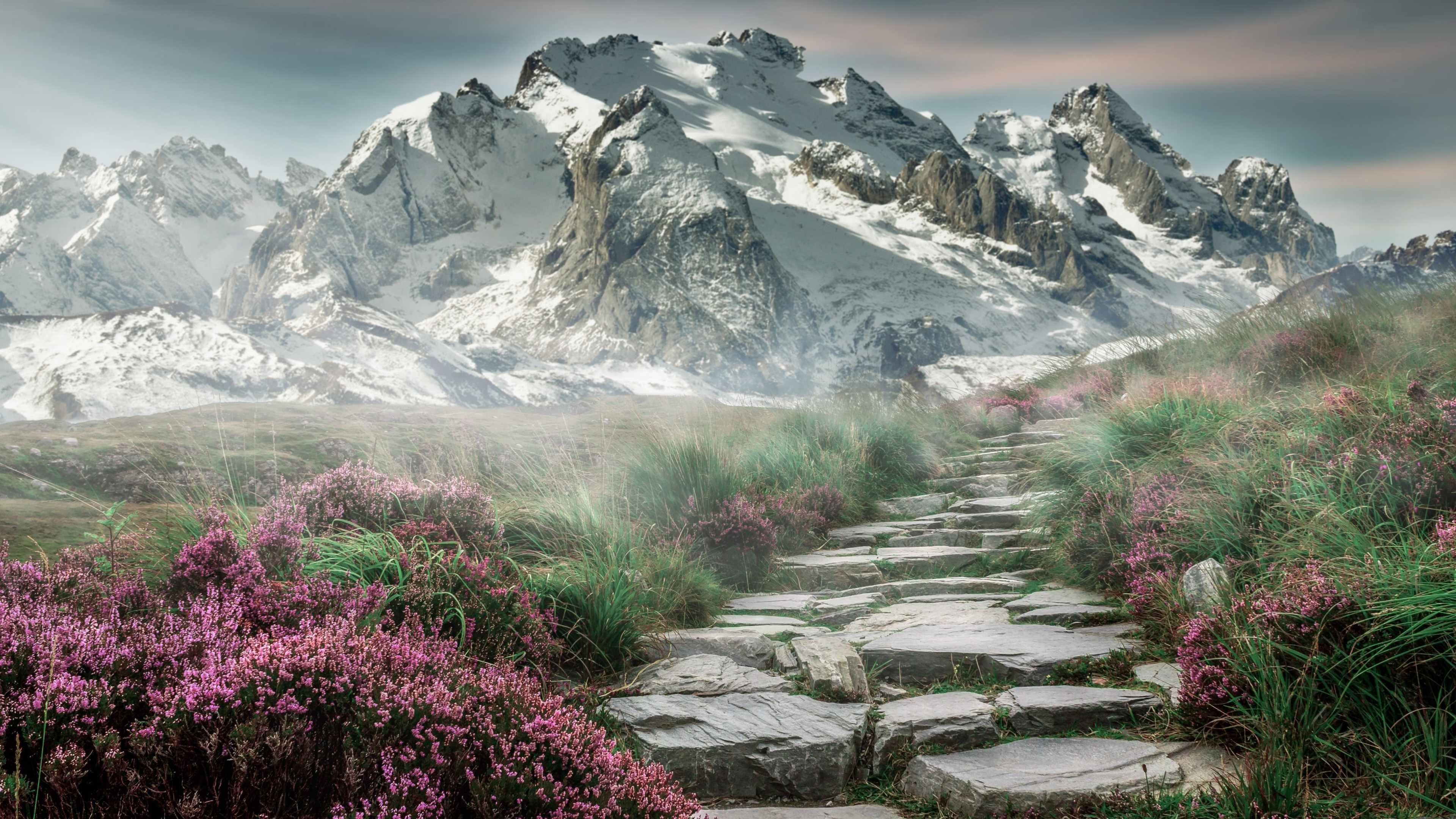 中国女篮积极备战国际热身赛 教练关注细节调整,中国女篮现教练