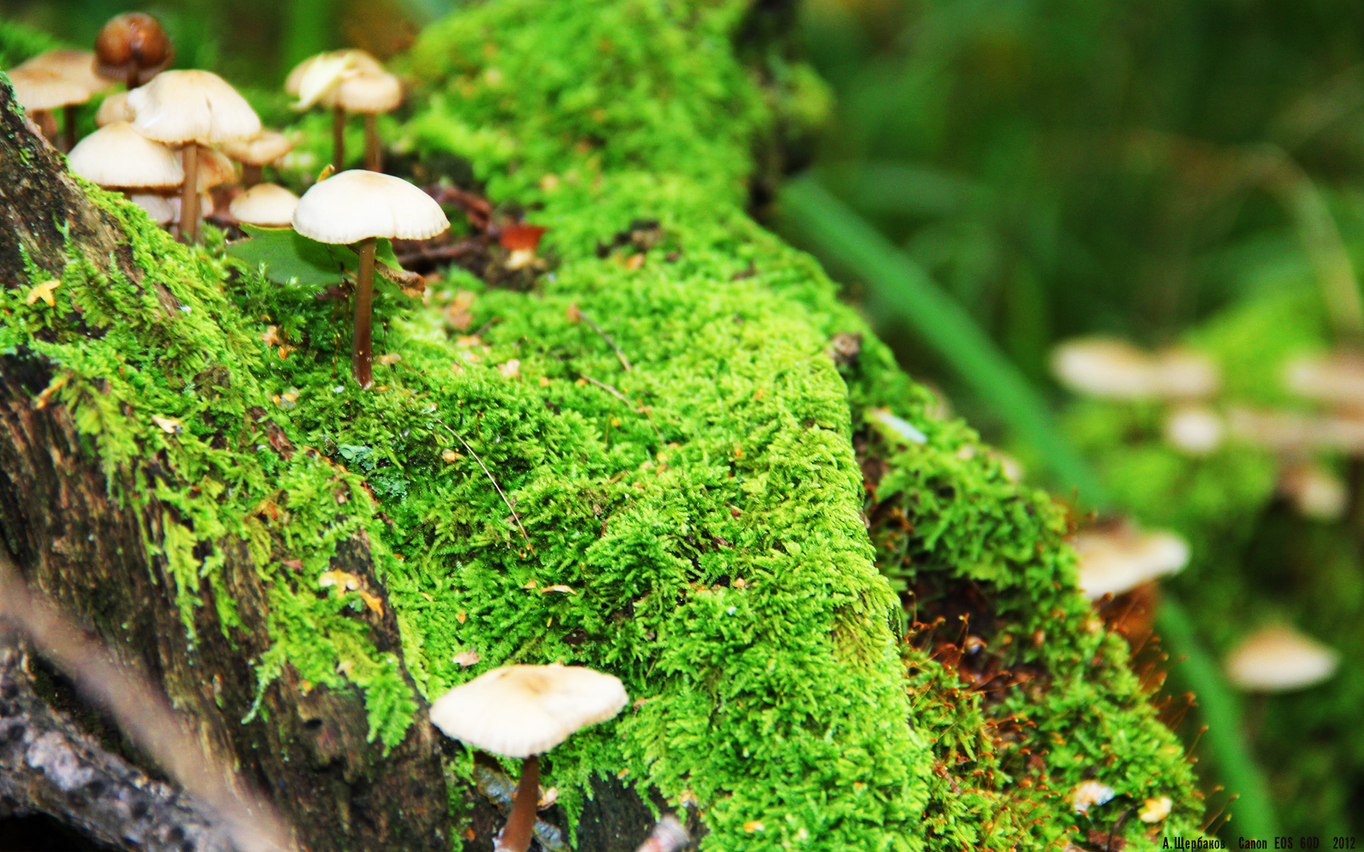 冬奥集训营正式进入冲刺阶段,冬奥训练