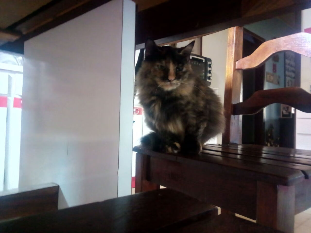 AYX GAME-轻艇马拉松迎多国强手，水上对决看点足，2021陆上赛艇马拉松