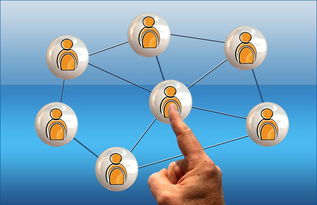 爱游戏中国-体育类专业师生互动质量与教学成效关系研究,体育教学过程中的师生人际关系对教学效果的影响