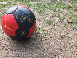 爱游戏体育官方入口-全国老年人健身球操赛展银发激情，老年健身球类