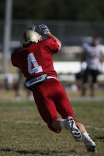 爱游戏体育官方入口-全国老年人健身球操赛展银发激情,老年健身球类